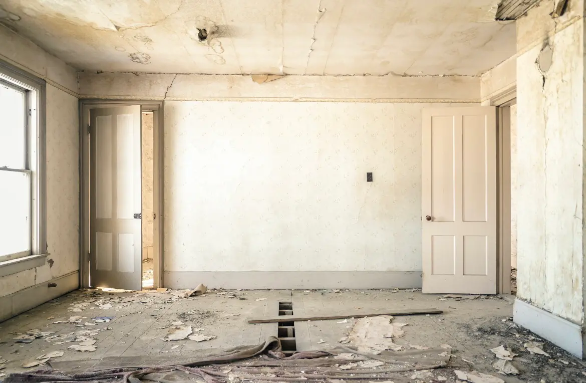 Waste disposal crew managing a cleanout project in Lynden